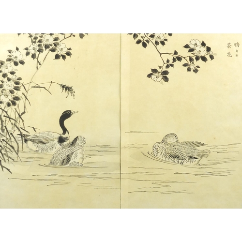 733 - Four 19th century Japanese woodblock diptychs, depicting chickens, ducks and birds amongst foliage, ... 