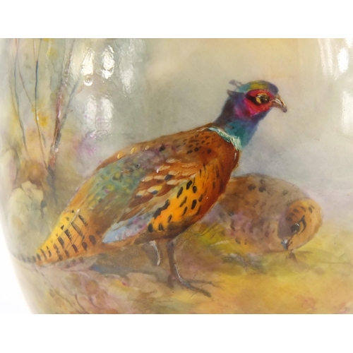 795 - Royal Worcester porcelain vase with twin gilt handles, hand painted with two pheasants by James Stin... 