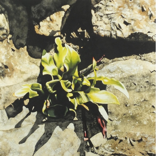 1510 - Andrew Potter - Still life flower, watercolour and gouache, booklet verso, mounted and framed 45cm x... 