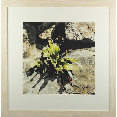 1510 - Andrew Potter - Still life flower, watercolour and gouache, booklet verso, mounted and framed 45cm x... 