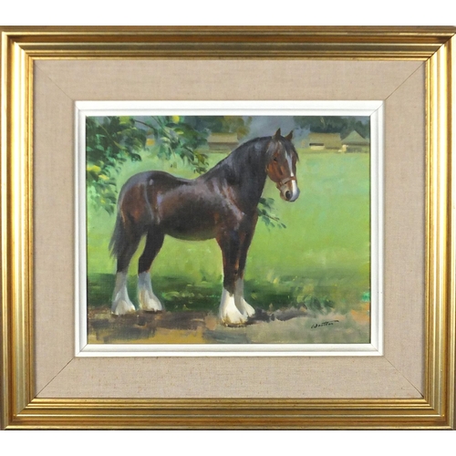 1283 - Frank Wootton - Study of a shire horse, oil on canvas, inscribed verso, mounted and framed, 30cm x 2... 