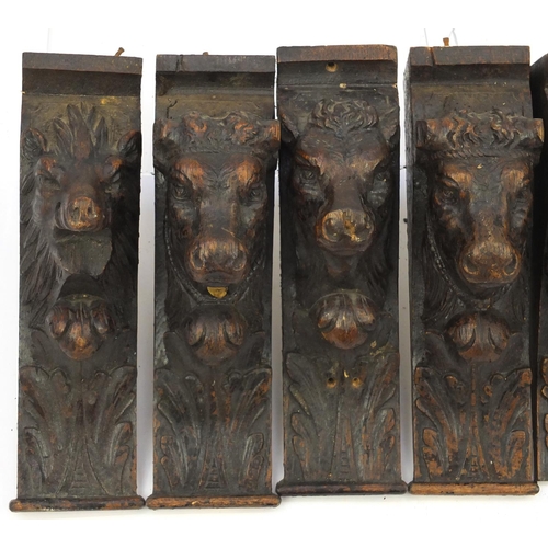 68 - Seven antique oak corbels carved with animals heads, each 31cm high