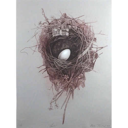 1517 - Mila Fürstová 2011 - Nest, pencil signed artist proof print, inscribed Artist Coldplay album cover 2... 