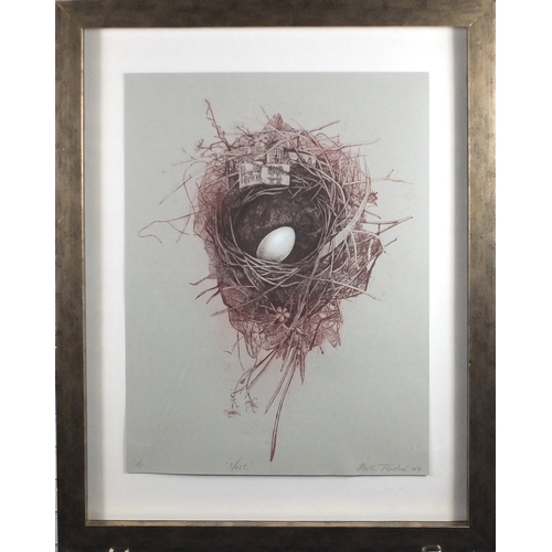 1517 - Mila Fürstová 2011 - Nest, pencil signed artist proof print, inscribed Artist Coldplay album cover 2... 