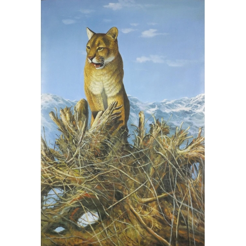2052 - Woodcock - Mountain lion, oil on canvas, label verso, mounted and framed, 91cm x 60cm