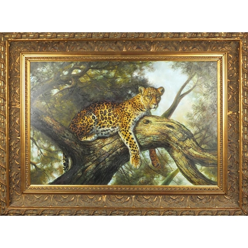 2111 - Woodcock - Leopard laying in a tree, oil on canvas, label verso, mounted and framed, 91cm x 61cm