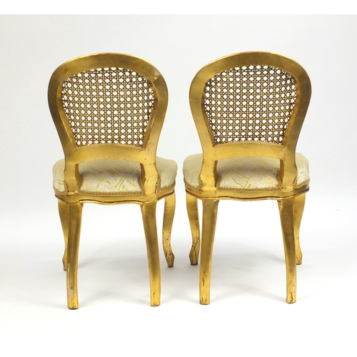 2136 - Pair of French gilt occasional chairs, with cane backs and stuff over seats, 82cm high