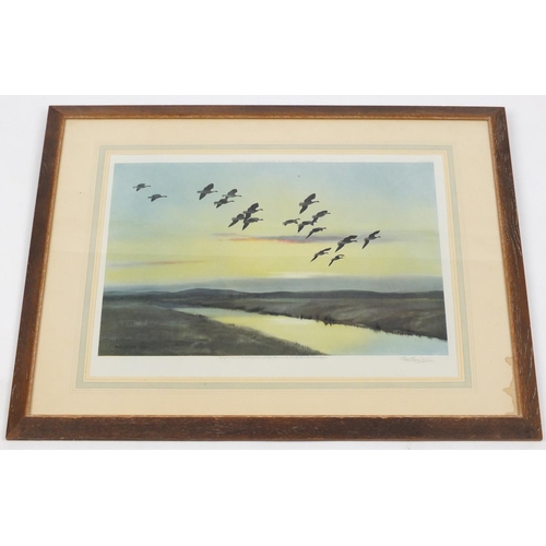 13 - Peter Scott - Mallards in flight, pencil signed print in colour, with DFl embossed watermark, mounte... 