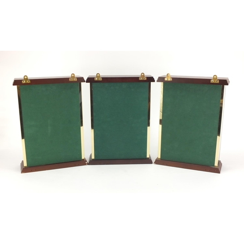 2247 - Three glazed mahogany wall hanging display cases, with mirrored backs, each 33cm H x 24.5cm W x 9cm ... 