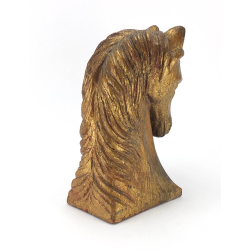 2075 - Gilt painted carved wooden horse head, 35cm high