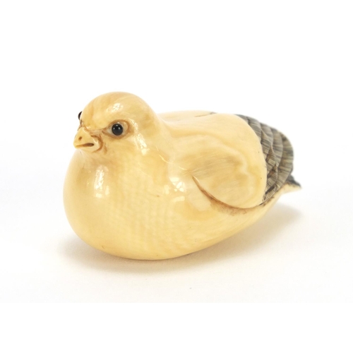 415 - Japanese carved ivory netsuke of a chick, character marks to the base, 4.5cm in length