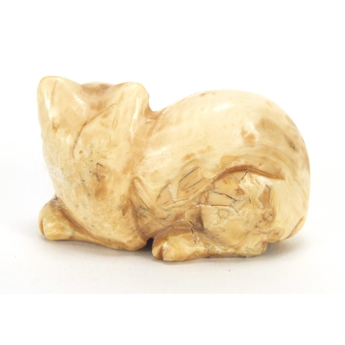 420 - Japanese carved ivory netsuke of a cat, character marks to the base, 3.9cm wide