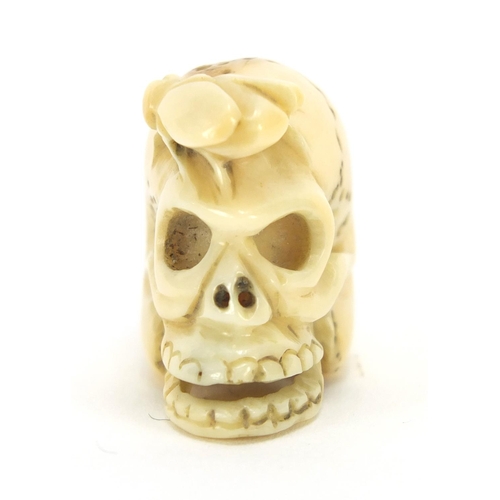 416 - Japanese carved ivory netsuke of a fly and skull, character marks to the base, 2.5cm high