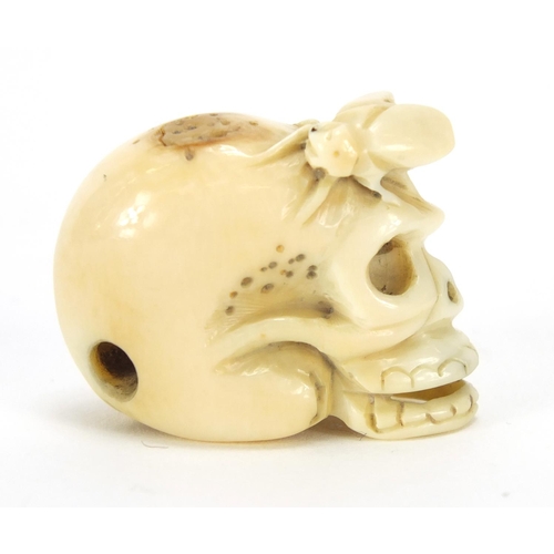 416 - Japanese carved ivory netsuke of a fly and skull, character marks to the base, 2.5cm high