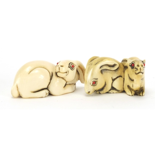 440 - ** WITHDRAWN FROM SALE ** Two Japanese carved ivory netsuke's of a rabbits, both with character, the... 