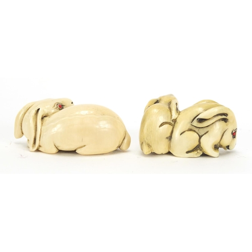 440 - ** WITHDRAWN FROM SALE ** Two Japanese carved ivory netsuke's of a rabbits, both with character, the... 
