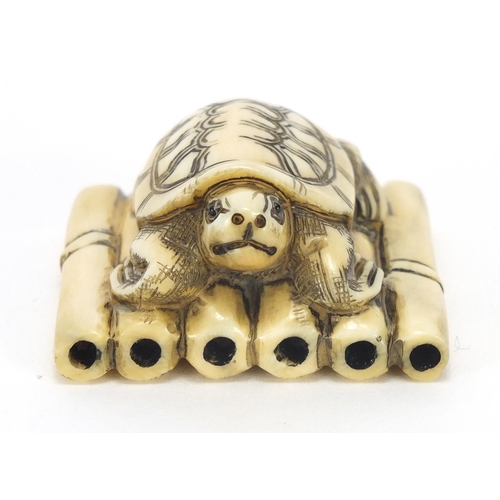 421 - Japanese carved ivory netsuke of a tortoise, character marks to the base, 3.9cm wide