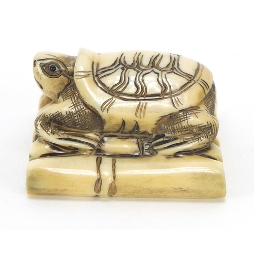 421 - Japanese carved ivory netsuke of a tortoise, character marks to the base, 3.9cm wide