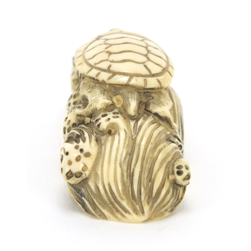 418 - ** WITHDRAWN FROM SALE ** Japanese carved ivory netsuke of a tortoise on waves, character marks to t... 