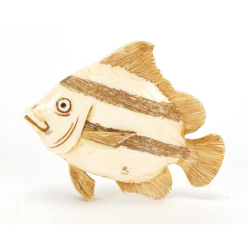 426 - Japanese carved ivory netsuke of an angel fish, signed with character marks, 6.5cm wide