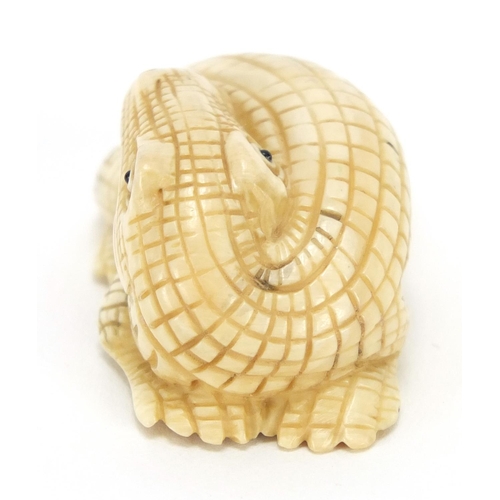 428 - ** WITHDRAWN FROM SALE ** Japanese carved ivory netsuke of a crocodile, character marks to the base,... 