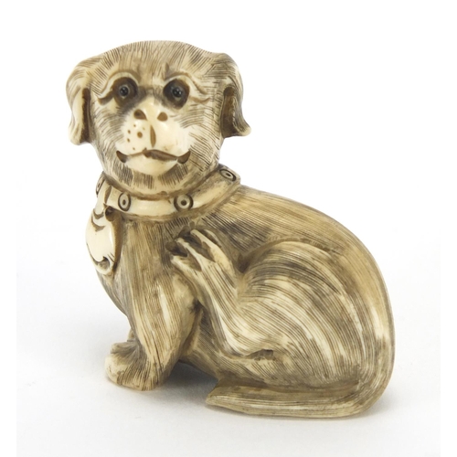 419 - Japanese carved ivory netsuke of a dog, character marks to the base, 4.2cm high