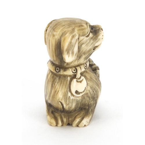 419 - Japanese carved ivory netsuke of a dog, character marks to the base, 4.2cm high