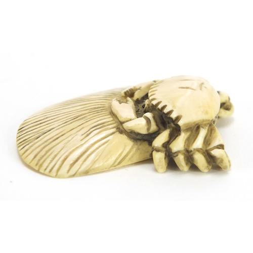 423 - Japanese carved ivory netsuke of a crab and shell, character marks to the base, 5cm wide
