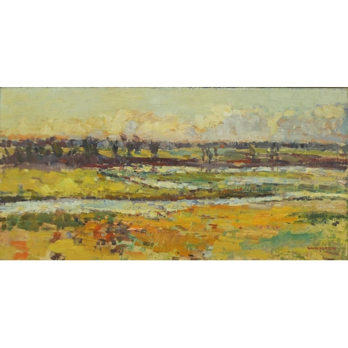 898 - Suon Joann - Extensive landscape, continental post impressionist oil on canvas, inscribed verso, mou... 