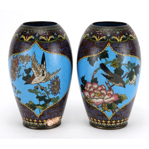 374 - Pair of Japanese cloisonné vases raised on hardwood stands, each enamelled with birds of paradise an... 