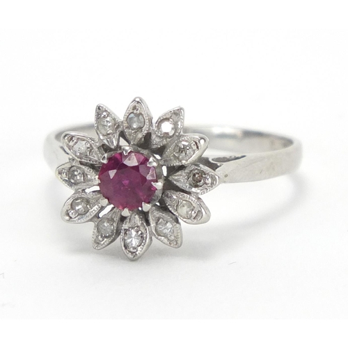 727 - 18ct white gold ruby and diamond flower head ring, size O, approximate weight 3.2g