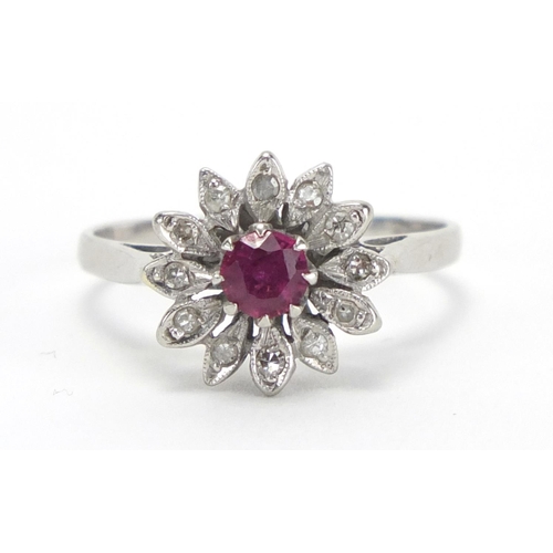 727 - 18ct white gold ruby and diamond flower head ring, size O, approximate weight 3.2g