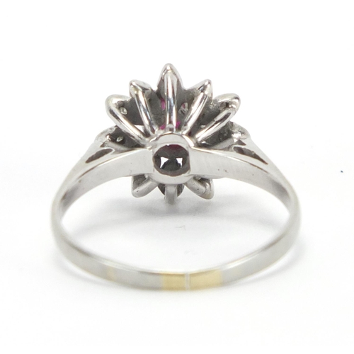 727 - 18ct white gold ruby and diamond flower head ring, size O, approximate weight 3.2g