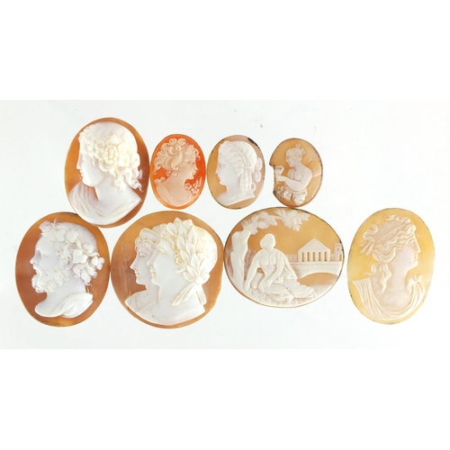 778 - Eight cameo panels, the largest 4cm in length, approximate weight 38.0g