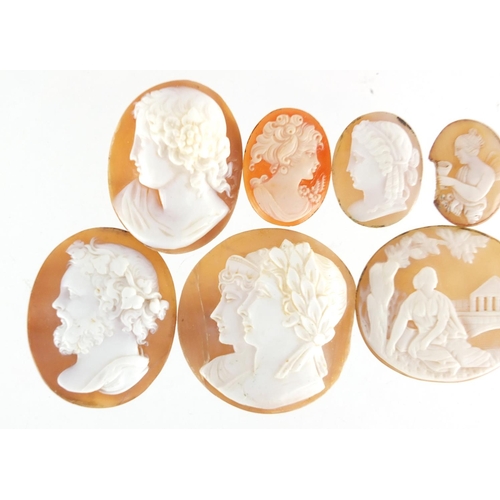 778 - Eight cameo panels, the largest 4cm in length, approximate weight 38.0g