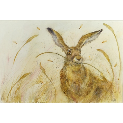 952 - Kate Wyatt - Portrait of a hare, mixed media, label verso, mounted and framed 54cm x 35.5cm