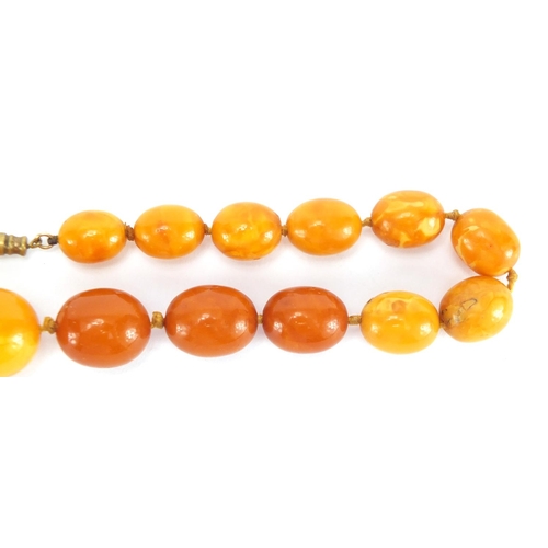 805 - Butterscotch amber coloured graduated bead necklace, 40cm in length, approximate weight 39.6g