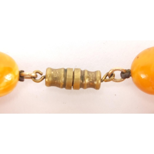 805 - Butterscotch amber coloured graduated bead necklace, 40cm in length, approximate weight 39.6g