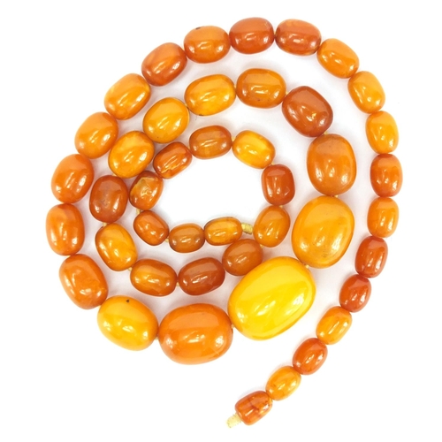 807 - Butterscotch amber coloured graduated bead necklace, 48cm in length, approximate weight 28.0g