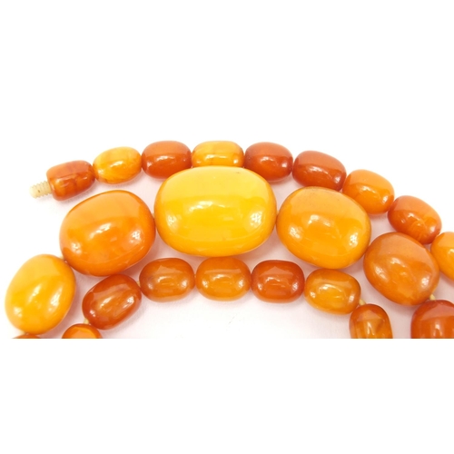 807 - Butterscotch amber coloured graduated bead necklace, 48cm in length, approximate weight 28.0g