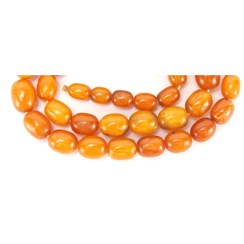 807 - Butterscotch amber coloured graduated bead necklace, 48cm in length, approximate weight 28.0g