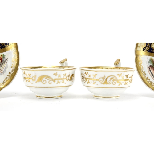 501 - Pair of 19th century cups and saucers, each hand painted with panels of seashells within gilt border... 