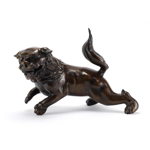 365 - Large Chinese patinated bronze Dog-Of-Foo, 43cm in length