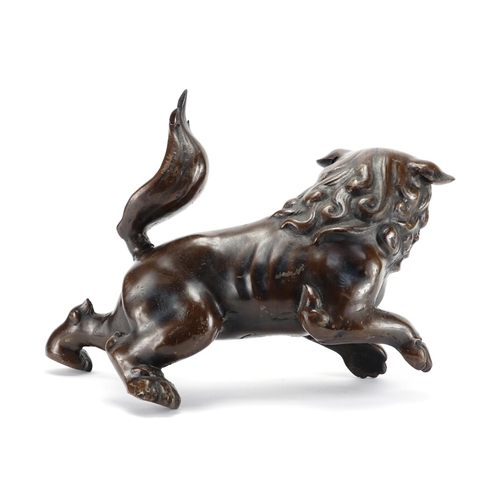 365 - Large Chinese patinated bronze Dog-Of-Foo, 43cm in length