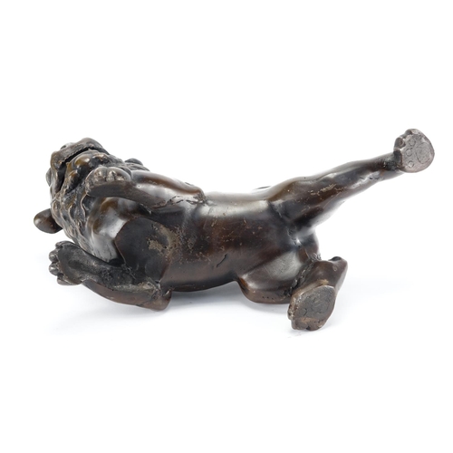 365 - Large Chinese patinated bronze Dog-Of-Foo, 43cm in length