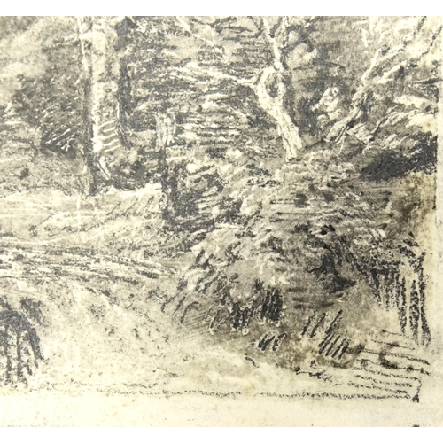950 - Woodland, charcoal on paper, bearing a monogram HC, unframed, 15cm x 10.5cm