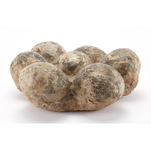 67 - Cluster of seven large pre historic fossilised dinosaur eggs, overall 16.5cm H x 44cm W x 38cm D