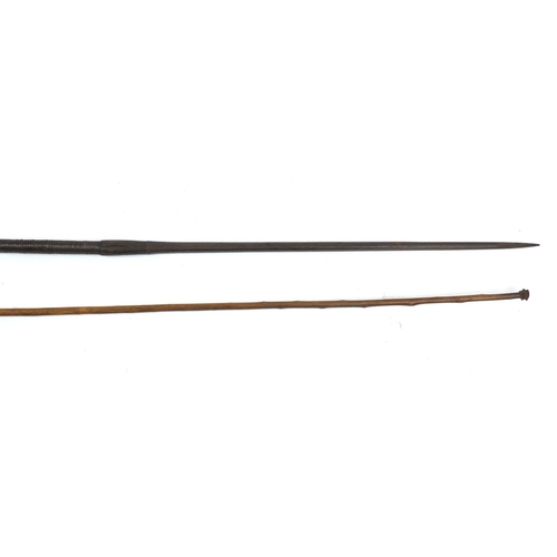 475 - Two tribal interest spears with steel heads, the largest 186cm in length