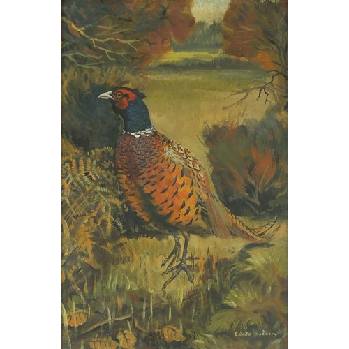 922 - Esdaile Hudson - Pheasant, oil on canvas, framed, 29.5cm x 19.5cm