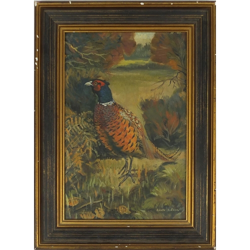 922 - Esdaile Hudson - Pheasant, oil on canvas, framed, 29.5cm x 19.5cm